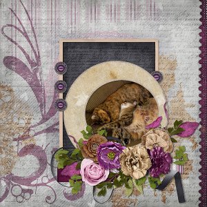 Heartfelt Bundle