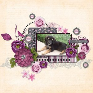 Heartfelt Bundle