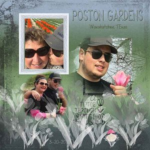 GSBrushCh422-SPostonGardens32020