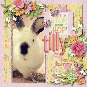 Tilly