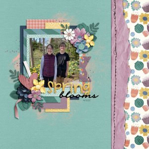 Spring Blooms
