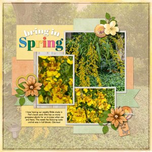 Bring in Spring