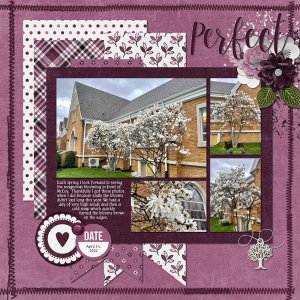McCoy Magnolias