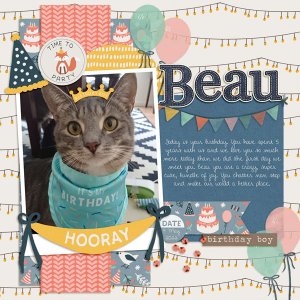 Beau Birthday