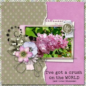 Crush on the World (And Lilacs)