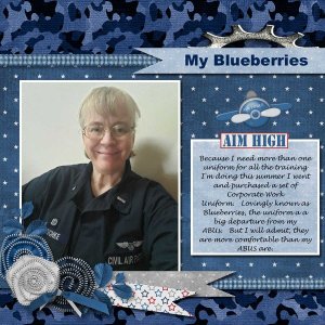 My Blueberries