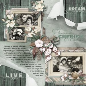 Love and Cherish