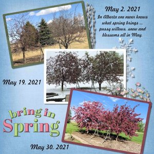 GS Memory Mix Up Challenge Apr 2022 with Miss Fish