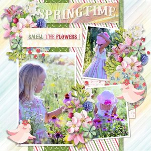Spring is in teh air 3
