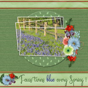 Texas turns blue every Spring