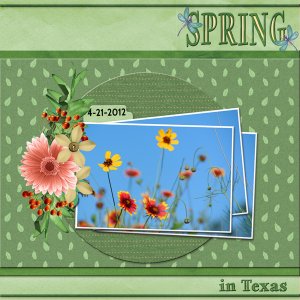 Spring in Texas