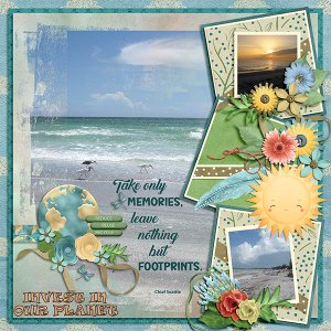 Take only memories, leave nothing but footprints