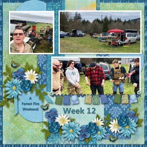 Week 12 of 52