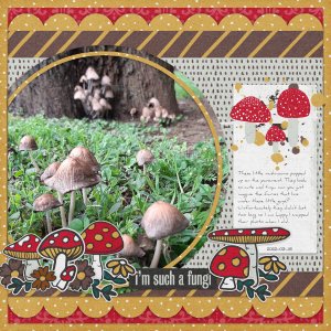 Fungi