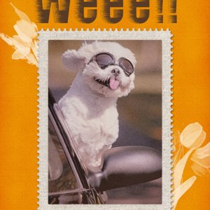 Weee!!