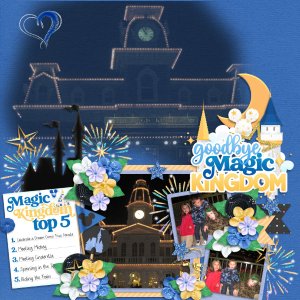 Goodbye Magic Kingdom