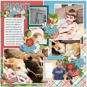 snapshots