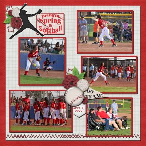 Lady Cardinals