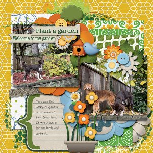 Plant a Garden