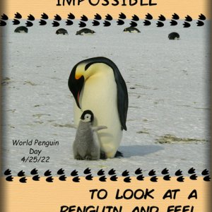 World Penguin Day