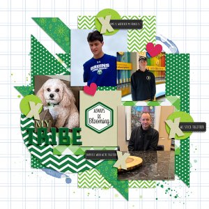 My-Tribe2