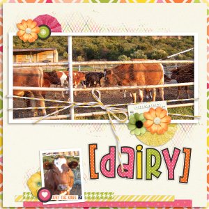 Dairy