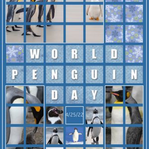 World Penguin Day