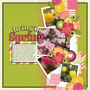 Bring In Spring