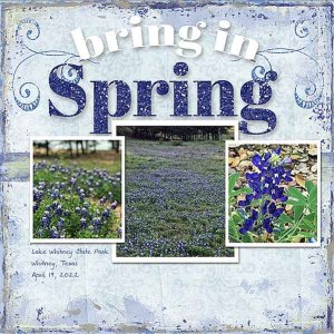 GSMemMixUp422-WhitneyBluebonnets41822