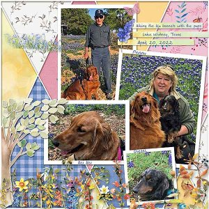 GSPerfectlyPaired422-PupsBluebonnets41920