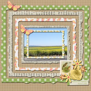Mustard Field