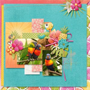 Colorful Lories
