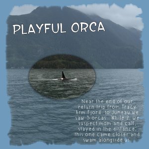 APR22-FontChallenge