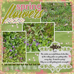 4/2022 Buffet Challenge - Spring Flowers