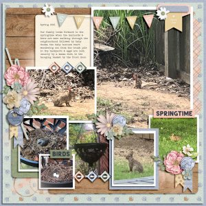 Spring 2021 - Baby Ducks + Bunnies