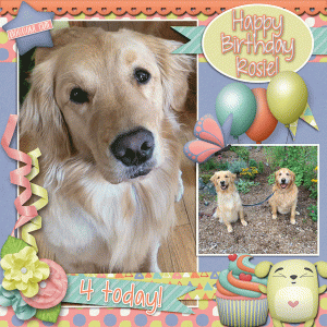 Happy Birthday Rosie!