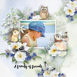 T. Moments and memories vol 14