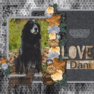 Dani