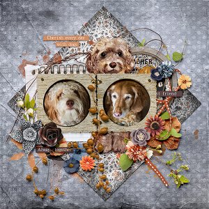 Cherish Each Day With Dogs