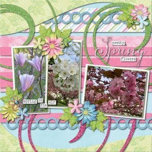 Pretty Spring Flowers