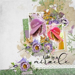 Life is a miracle