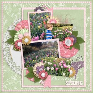 Beautiful Spring