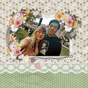 Cherry Blossoms