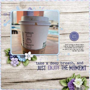 cupcoffeemexico