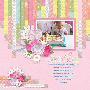 Special Day