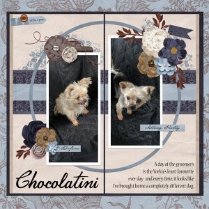 Chocolatini's Haircut