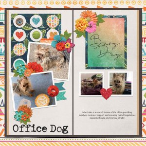Office Dog