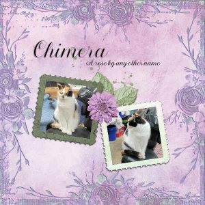 Chimera May Brush Challenge