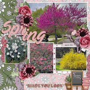 Spring 21