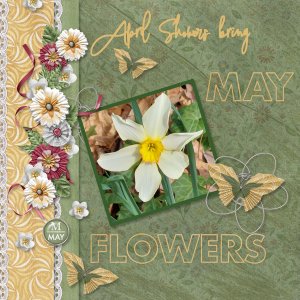 Moving into Spring